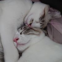 maron.m 会員画像