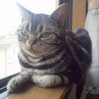 てるるん 会員画像