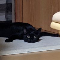 会員画像