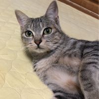 会員画像