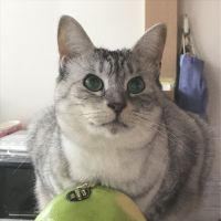 ちゃんはまさん