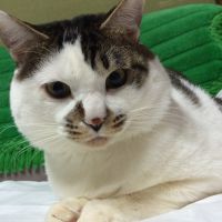 おにぎりもぐもぐ 会員画像