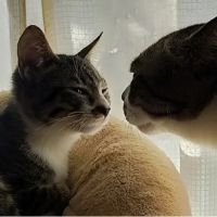 えみい 会員画像