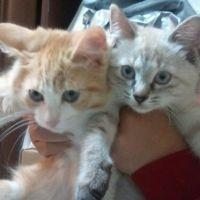 日和（ひより）さん