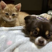 花と麦 会員画像