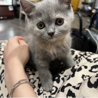 ひーーちゃん 会員画像