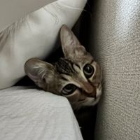 RITAKOchan 会員画像