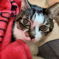 まめぴむ 会員画像