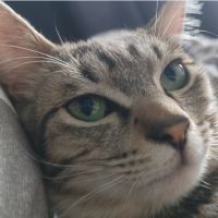 ちわさき 会員画像