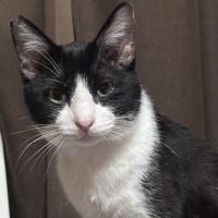 MikaluvLuke 会員画像