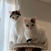 よもぎ 92 会員画像