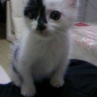 きりママ 会員画像