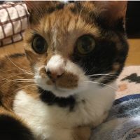 ミコミコミコ 会員画像