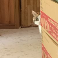 おぬぬさん