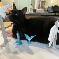 ケンタウルスさん