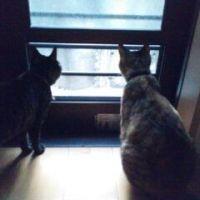 ひろゆう 会員画像