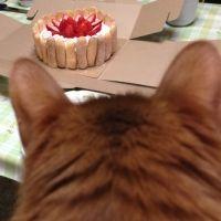 そら64 会員画像