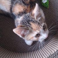 たーし 会員画像