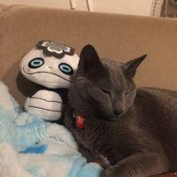 ピロシキ捜索隊 会員画像