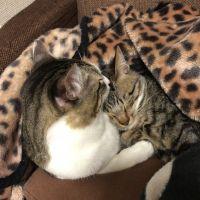 さんさんさん 会員画像