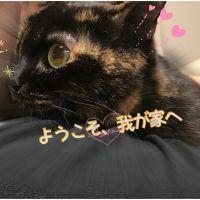きンた 会員画像