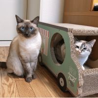 会員画像
