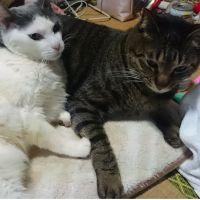 こにゃらん 会員画像