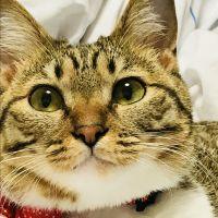 タカコ^_^さん