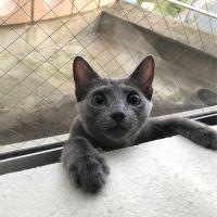リディア 会員画像