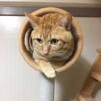 まつちゃん 会員画像
