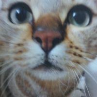 mohi 会員画像