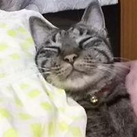 壬生 会員画像