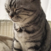 ハルカ1 会員画像