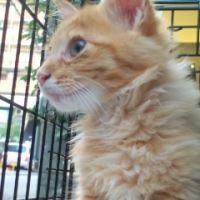 鈴(すず) 会員画像