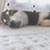 yuka__.21 会員画像