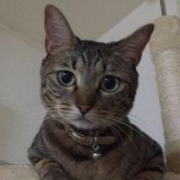 Kゆう 会員画像