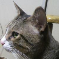 会員画像