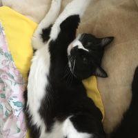 ミロク99 会員画像