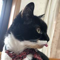 むぽち 会員画像