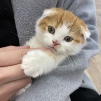 会員画像