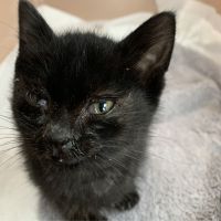 aki.koji 会員画像