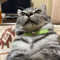 会員画像