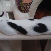 ままふあ 会員画像