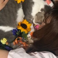 ここここ 会員画像