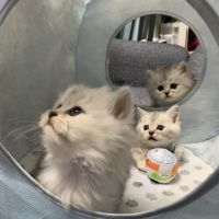 くにを 会員画像