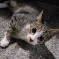 会員画像