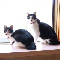 かなぱん。 会員画像