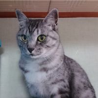 顔良さん