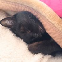 よ=ま 会員画像