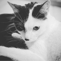 みなとちゃん 会員画像